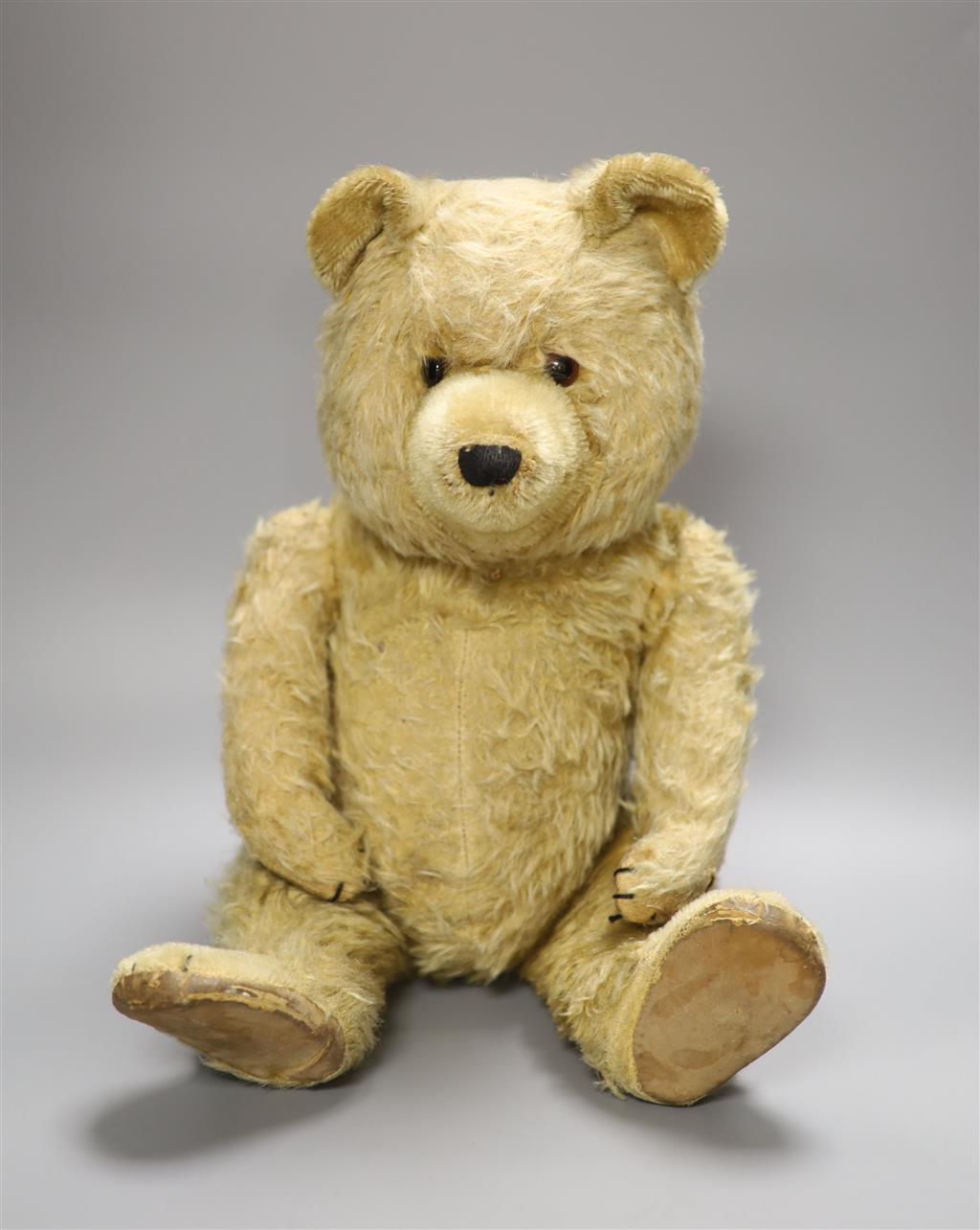 A mid 1920s Teddy Bear with photo of original owner